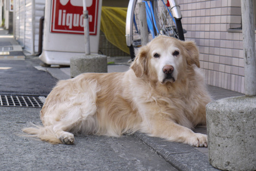 2012_0315_121852AA