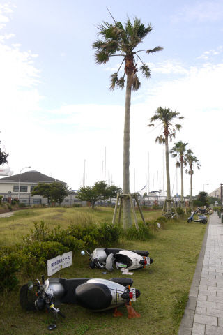 2012_0620_073548AA