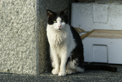 6a94585c.jpg