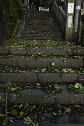 2012_0620_055614AA