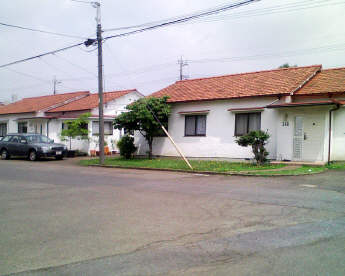 7eaf1302.jpg