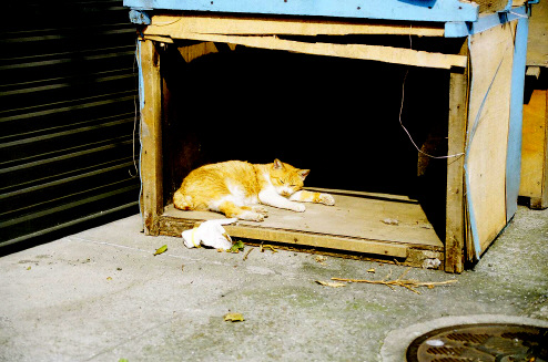 b06f6c35.jpg