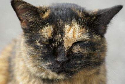 bc9143da.jpg
