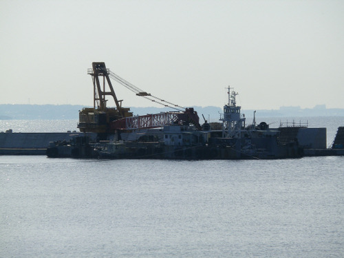 IMGP0301