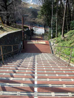 c7a24346.jpg