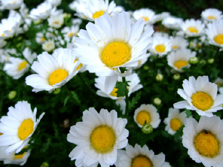 d5b355e8.jpg