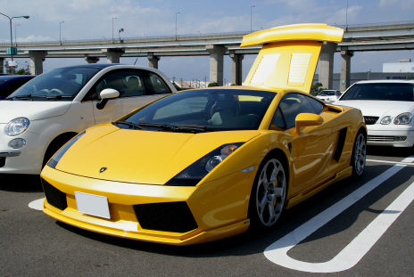 d69c558d.jpg