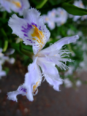 d713ae6a.jpg