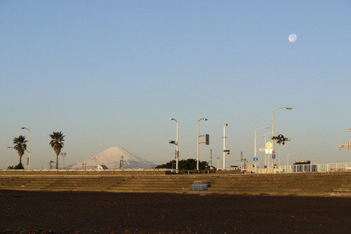 2010_1223_071003-02