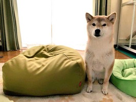 l_miya_1904innumigihook04
