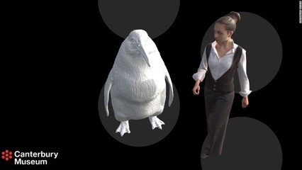 waipara-giant-penguin-discovery-super-169