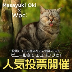 am2007_hisshisugiruneko01