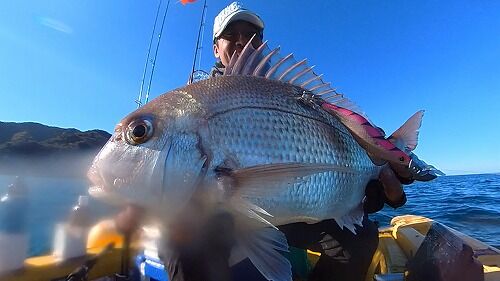 Snapshot_202311326_231100