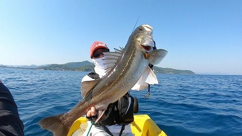 IMG_3394
