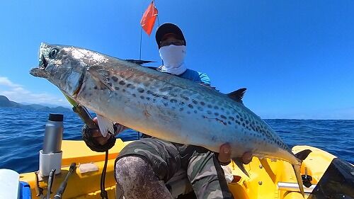 Snapshot_202408231_180848