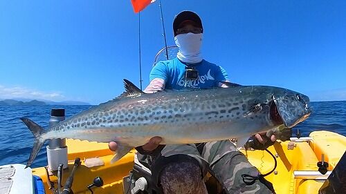 Snapshot_202408231_180864