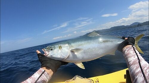 IMG_2564