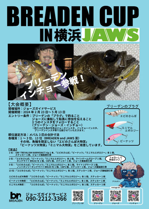 BR���åײ���