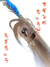 えぎちゅう