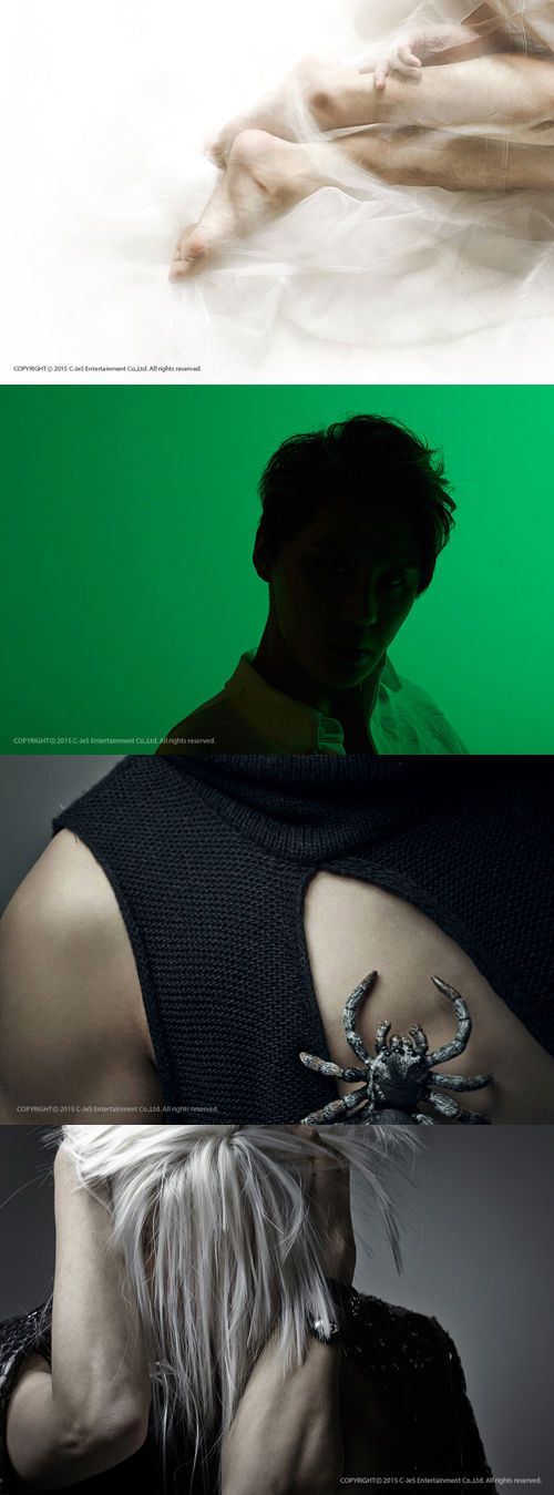 Js 生足 クモ 苦悩 ことのはつづり ジェジュンと共に