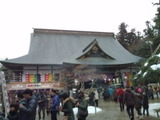 95608f05.jpg