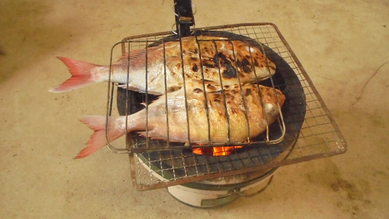 6 27今年11回目の一つテンヤで出船 瀬戸内海 犬と海