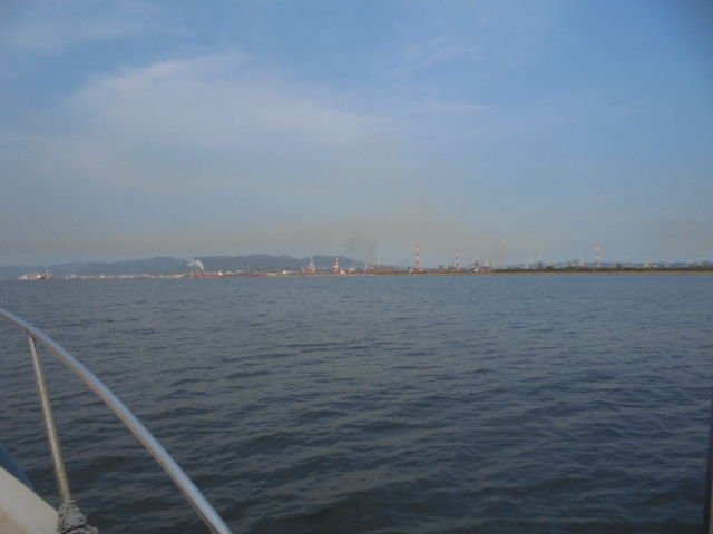 笠岡沖でまたまたアジ釣り 犬と海