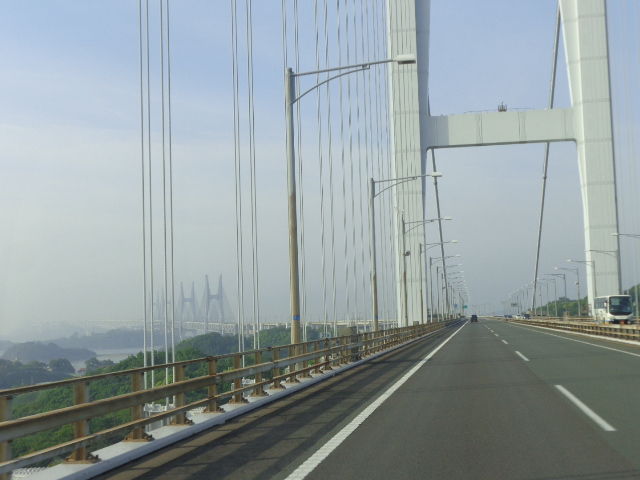 ｊｋｃ四国ブロック訓練競技会in徳島吉野川河川敷 犬と海