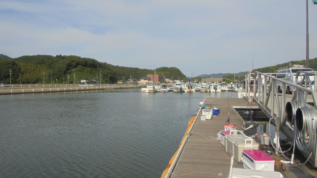 年6月22日人生初めての白イカ 剣先イカ 釣りに行く 犬と海 年6月22日人生初めての白イカ 剣先イカ 釣りに行く 犬と海