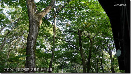 野尻湖畔190818