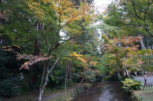 小国神社の紅葉　2016