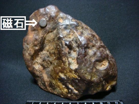 隕石 標本 茨城県化石工房 隕石 標本 茨城県化石工房
