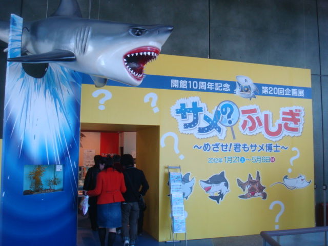 茨城県大洗水族館へ 茨城県化石工房 茨城県大洗水族館へ 茨城県化石工房