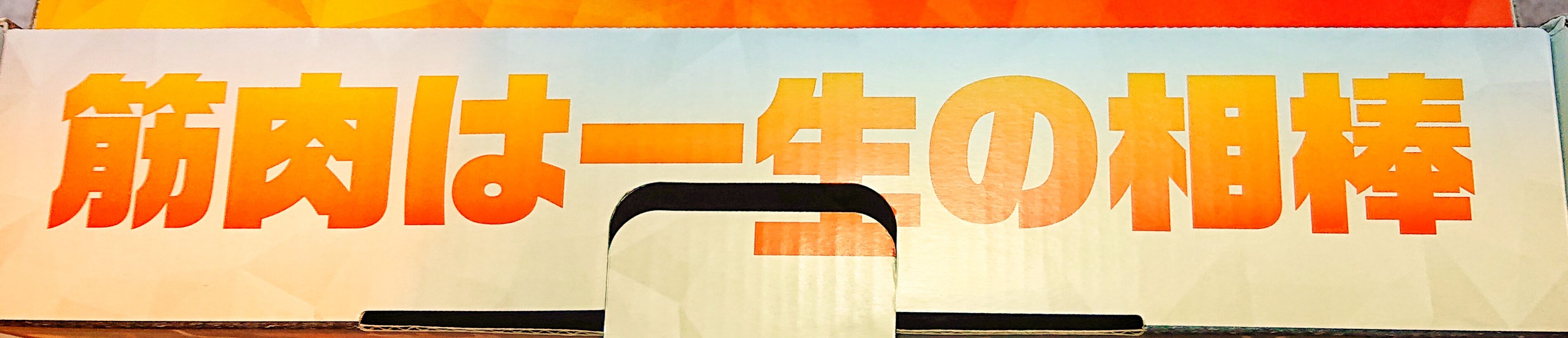 筋トレもゲームなら続く リングフィットアドベンチャー ろぐぱら