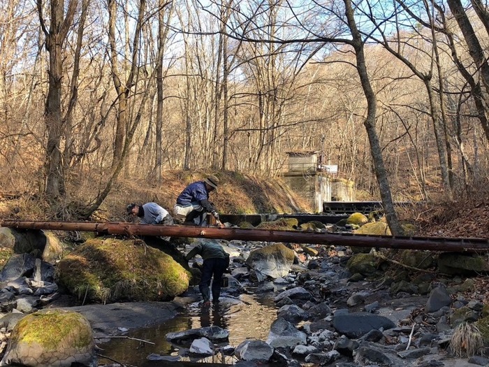 s-483562479193424164