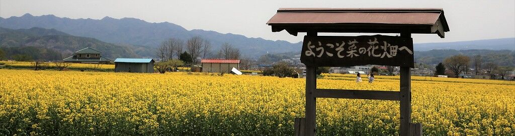 ようこそ軽井沢へ ようこそ菜の花畑へ ようこそ軽井沢へ ようこそ菜の花畑へ