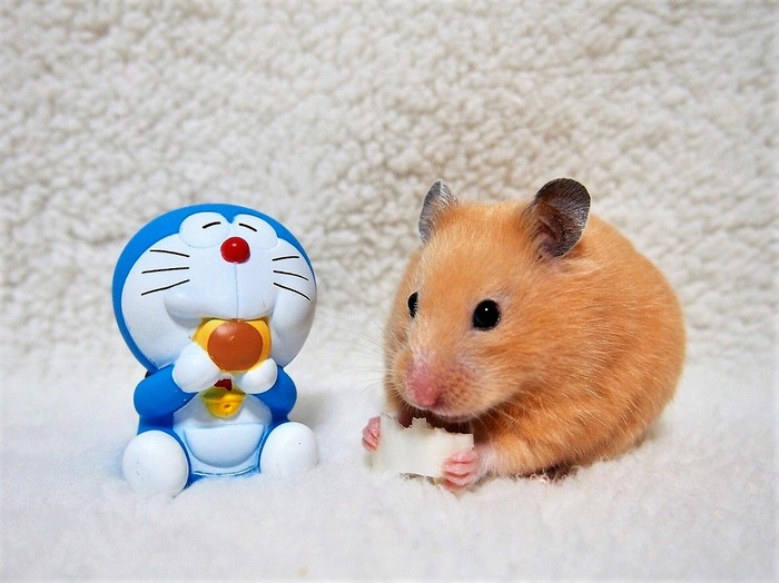 s-11170920098719 (2)