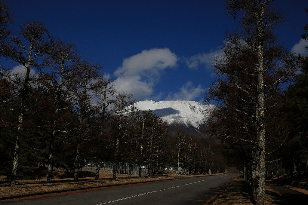 イメージ 3