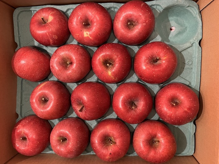 s-B16E822D60D522DD5D06ED81A20365A8CF771605