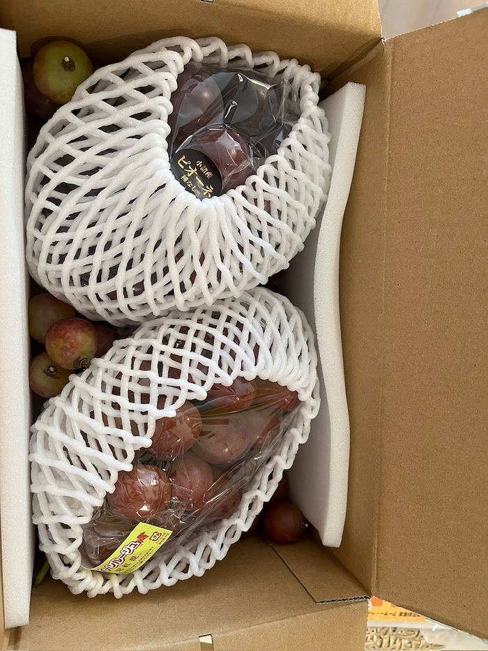 s-583575163196146244