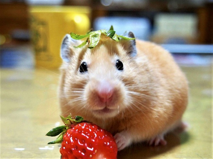 s-11170920055878 (2)