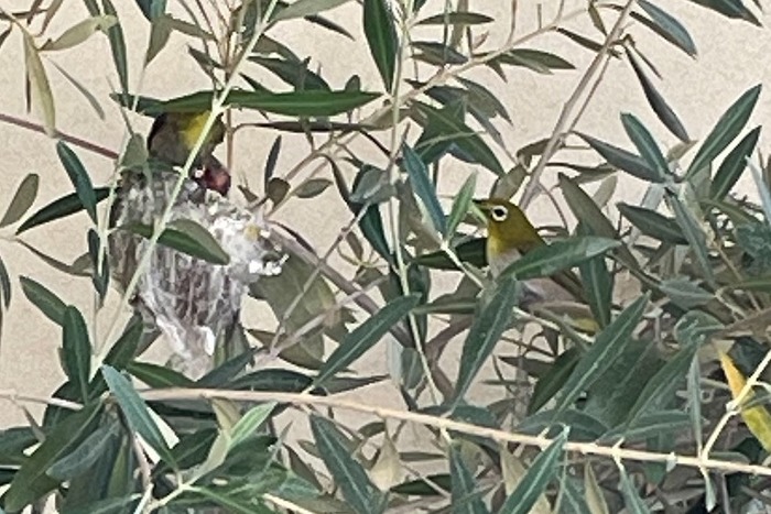 s-cache_Messagep25697