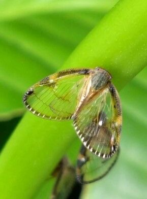 536273814_1081579594184163_8441141843244647337_n