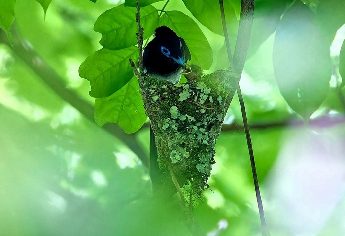 s-461385870927987203