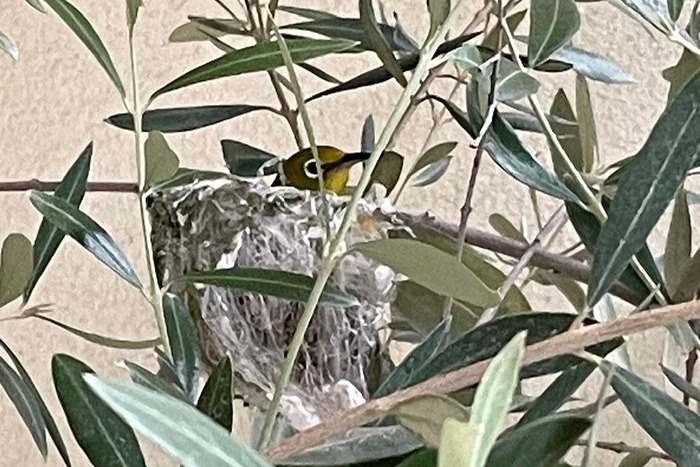 s-517464443975369013