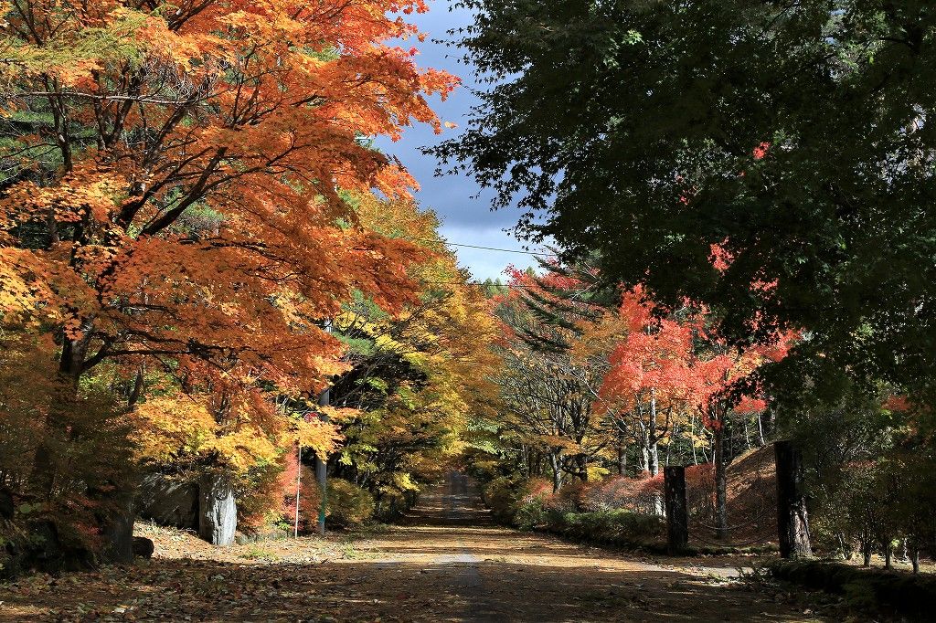 ようこそ軽井沢へ 軽井沢紅葉情報 仮