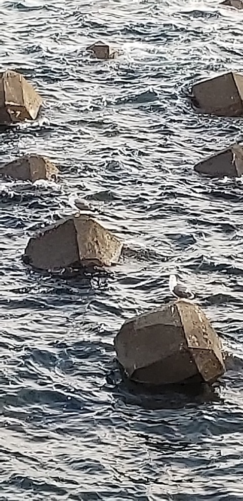 20181107_161127