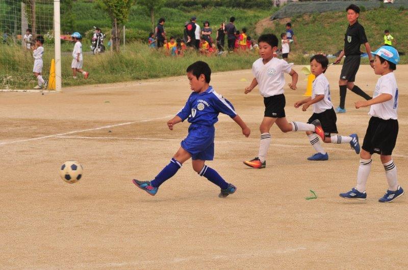 6 1 土 スポーツデポカップ第23回わんぱくリーグサッカー大会 2年生以下 柏井サッカークラブ 6 1 土 スポーツデポカップ第23回わんぱくリーグサッカー大会 2年生以下 柏井サッカークラブ
