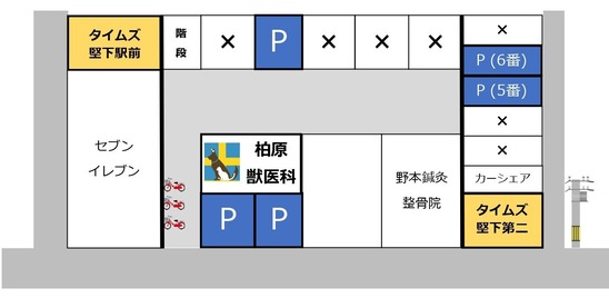 柏原獣医科の駐車場_page-0001 (3)