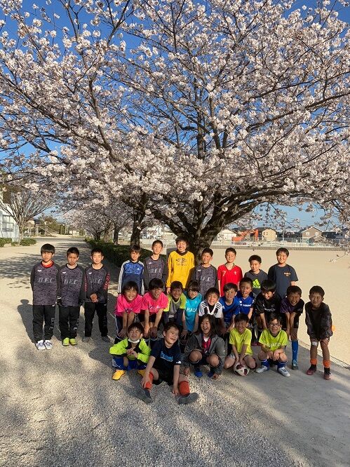 桜満開21 3 25 佐賀市の春日fcのblog 桜満開21 3 25 佐賀市の春日fcのblog